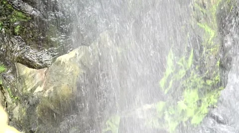 Reflection of drizzle in the sunlight Stock Footage 40649588