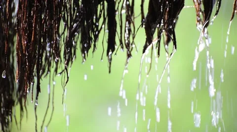 Reflection of drizzle in the sunlight Stock Footage 44408798