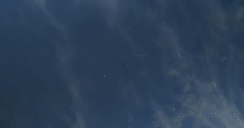 Reflection of drone flying over misty dark water at the crack of dawn Stock Footage 93486897