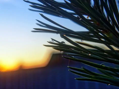 Reflection in a drop of water Stock-Fotos