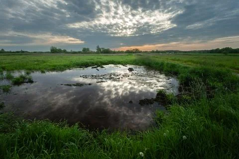 Reflection of evening clouds in the water in the meadow Stock Photos