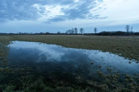 Reflection of evening clouds in the water on the meadow. Stock Photos