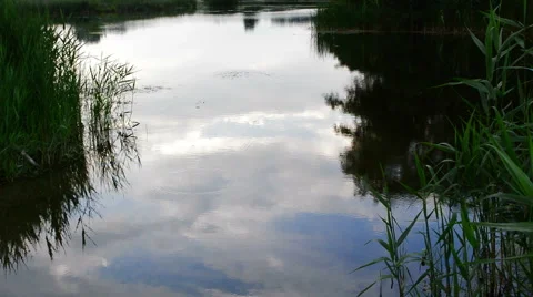 Reflection evening sky 動画素材 51724315