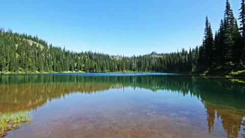 Reflection of Evergreen Forest in Alpine Lake, Palisades Lakes Trail, Mount Rain Stock Footage 332090484