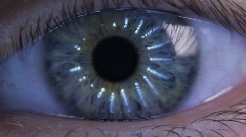 Reflection in the eye Stock-Footage 39328600