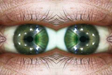 Reflection eye NTSC Stock Footage 340809