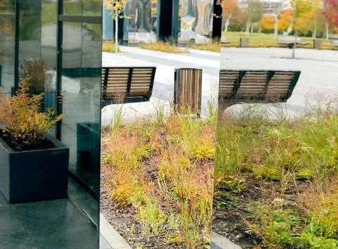 Reflection on the facade of the building of bench in the park Fotos de archivo