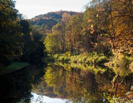 Reflection of fall leaves Stock Photos