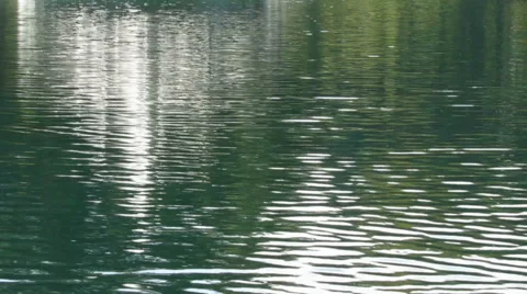Reflection in fast-moving lake loop 1225 Stock Footage 42662345