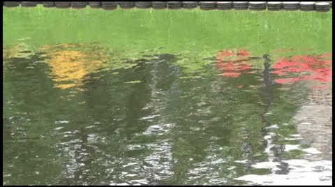 Reflection of Flowers in water1080 Stock Footage 10592732