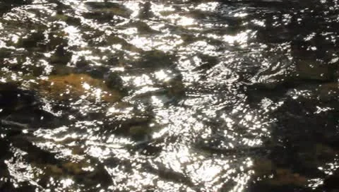 Reflection Stock Footage 8908689