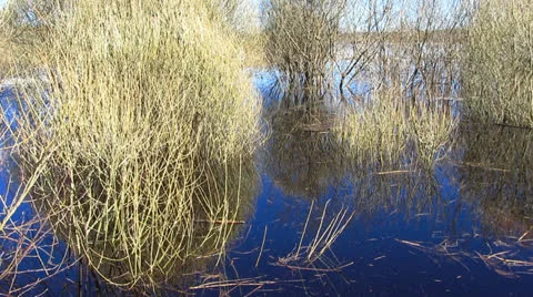 Reflection Video stock 22798841