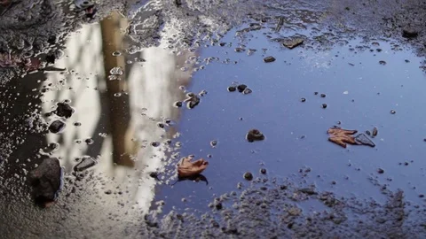 Reflection Stock Footage 84952733