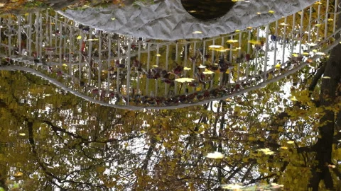 Reflection Video stock 97658484