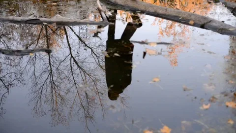 Reflection Stock Footage 103842504
