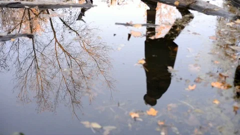 Reflection Stock Footage 103842580