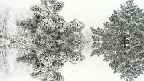 Reflection Stock Footage 123014979