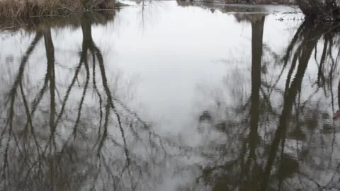 Reflection Video stock 146376749