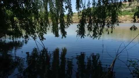 Reflection Video stock 153353870