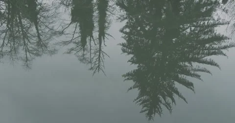 Reflection Stock Footage 260672737