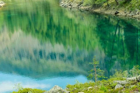Reflection of forest and mountain range in mountain lake Stock Photos