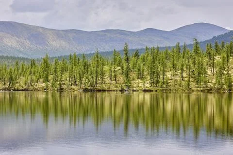Reflection of the forest and mountains on the surface of the lake Foto stock