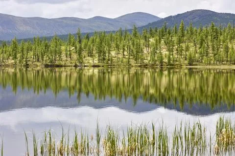 Reflection of the forest and mountains on the surface of the lake Foto stock