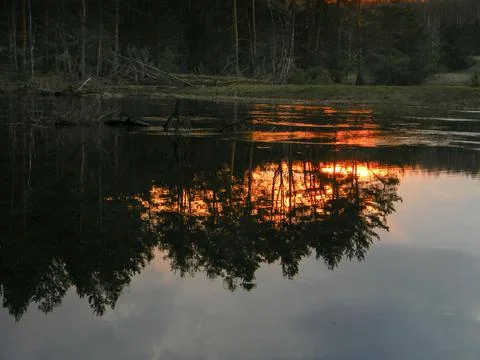 Reflection of the forest and sunset in the river Stock Photos