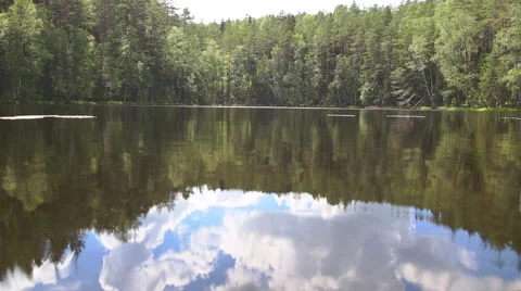 Reflection of forest in lake Stockbeeldmateriaal 40660903