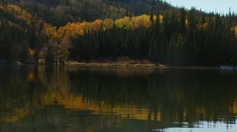 Reflection of forest in lake Stock Footage 55296175