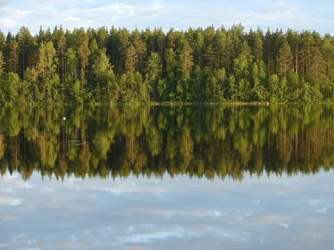 Reflection of forest in lake Stock Photos