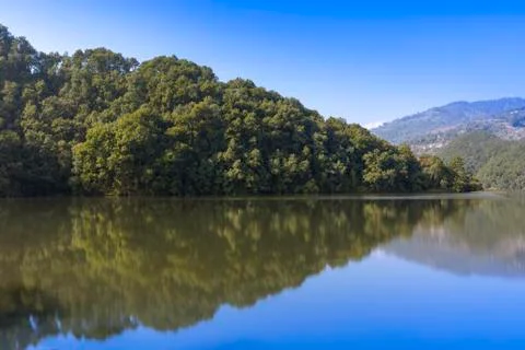 Reflection of the forest in lake 스톡 사진