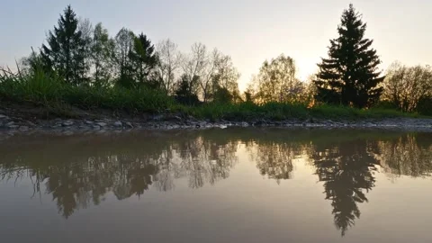Reflection of forest nature in small pond before sunrise Stock Footage 254981359
