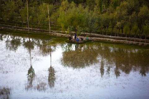 Reflection of the forest Foto stock
