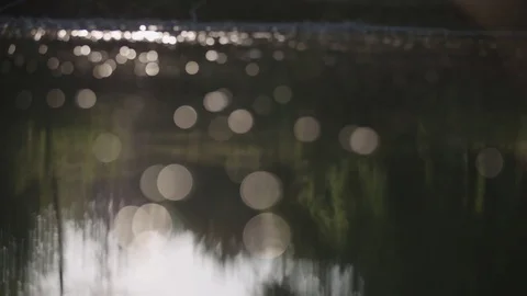 Reflection of a forest in the river Stock Footage 76558130