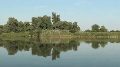 Reflection forest in river zoom in Stock Footage 12497643