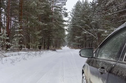 Reflection of the forest road in the car mirror Photos