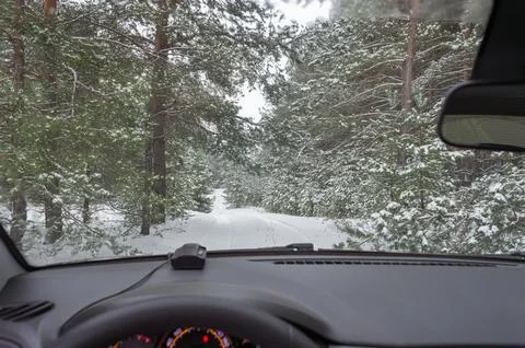 Reflection of the forest road in the car mirror 스톡 사진