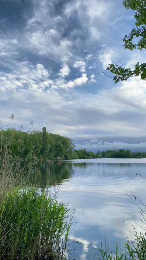 Reflection of a forest in the water. Stock Footage 154203861