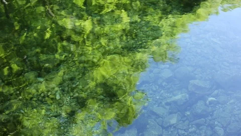 Reflection of the forest on the water of a mountain river. Stock Footage 79263581