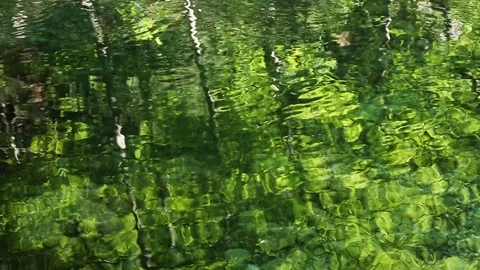 Reflection of the forest on the water of a mountain river. Vídeos de archivo 79264134