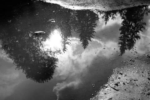 Reflection of forest in water Foto stock