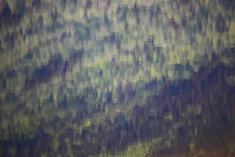 Reflection of forest in water Stock Photos