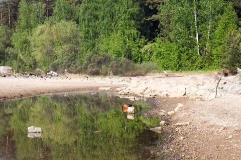 Reflection of the forest in the water Stock Photos