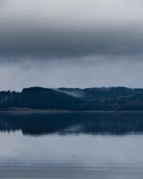 Reflection of the forest on the water Stock Photos