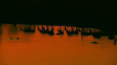 Reflection of game on water Stock Footage 62645458