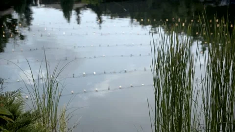 Reflection of garlands on lake at evening. Stock Footage 166706289