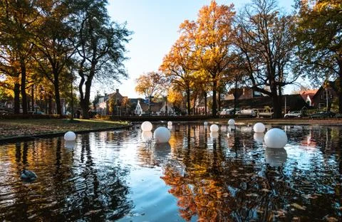Reflection of golden trees Stock Photos