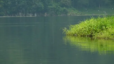 Reflection of grass growing around the lake Stock Footage 320105302
