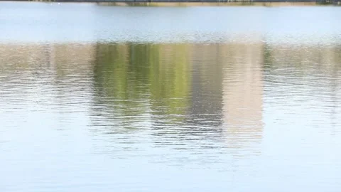 Reflection of grass in water 2 Stock-Footage 331090888